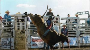 Bull Riding